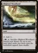 Blighted Woodland #280