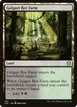 Golgari Rot Farm #291