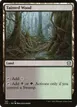 Tainted Wood #321