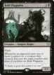 Bold Plagiarist #37