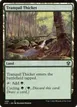 Tranquil Thicket #408