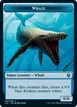 Whale #5