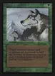 Aspect of Wolf #185
