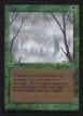 Fog #194