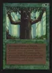 Ironroot Treefolk #204