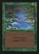 Stream of Life #218