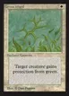 Green Ward #21