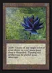 Black Lotus #233