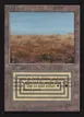 Scrubland #282
