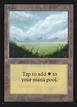 Plains #288