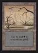 Swamp #295