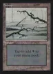 Swamp #296