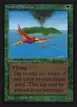 Birds of Paradise #187