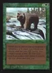 Grizzly Bears #200