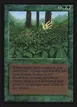 Kudzu #205
