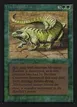 Thicket Basilisk #219