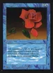 Mana Short #66