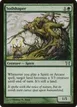 Soilshaper #243