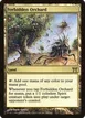 Forbidden Orchard #276