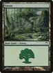 Forest #304