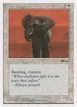 War Elephant #13