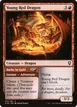 Young Red Dragon // Bathe in Gold #210