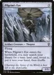 Pilgrim's Eye #333