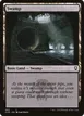 Swamp #462