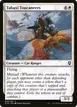 Tabaxi Toucaneers #46