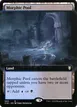 Morphic Pool #603