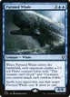 Pursued Whale #732