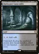 Darkwater Catacombs #889