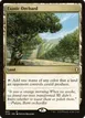 Exotic Orchard #893