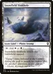 Snowfield Sinkhole #915