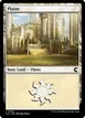Plains #256
