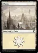 Plains #257