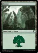 Forest #272