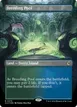 Breeding Pool #275