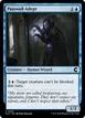Passwall Adept #91