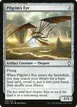 Pilgrim's Eye #210