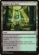Golgari Rot Farm #254