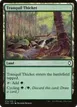 Tranquil Thicket #274