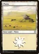 Plains #285