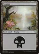 Swamp #293