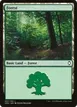 Forest #307