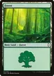 Forest #311