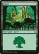 Forest #312