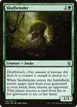 Skullwinder #146