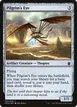 Pilgrim's Eye #224