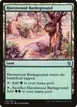 Havenwood Battleground #256